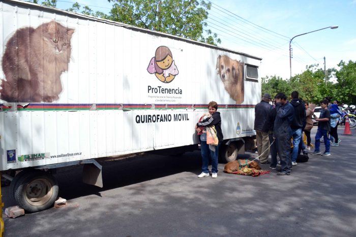 Programa Mascotas Argentinas - Quir_fano m_vil (13)