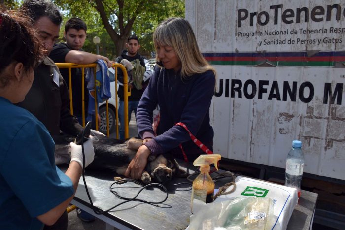 Programa Mascotas Argentinas - Quir_fano m_vil (9)