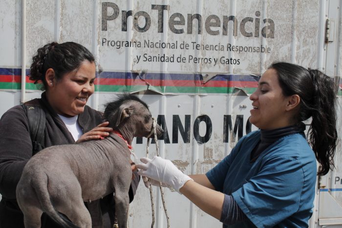 programa mascotas argentinas (6)