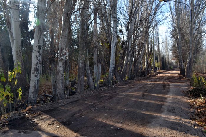 Nuevo pavimento - Calle Avelino Maure (8)