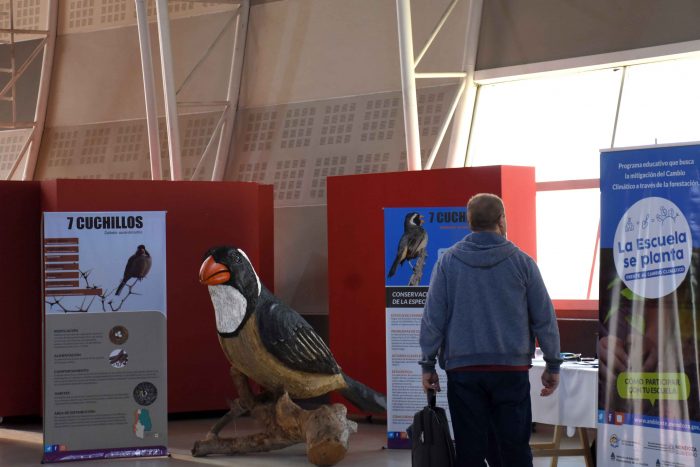 1ª Feria de Educación Ambiental de Guaymallén (13)