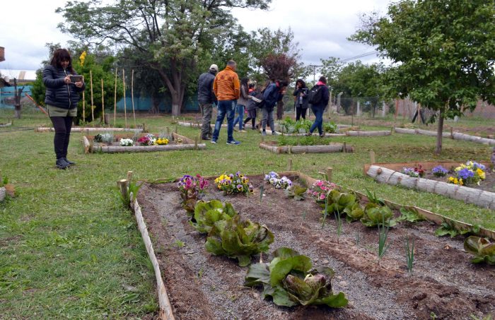 Taller de huerta agroecológica y entrega de semillas (13)