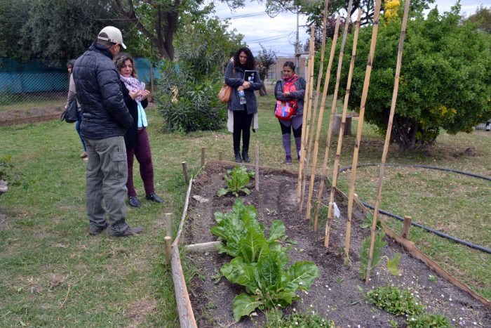 Taller de huerta agroecológica y entrega de semillas (15)