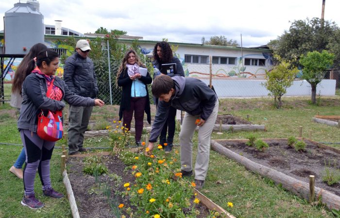 Taller de huerta agroecológica y entrega de semillas (16)