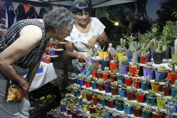 Paseo Sinfónico 2019 (49)