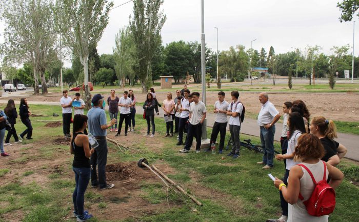 Plantación de árboles - Parque del Acceso Este (1)