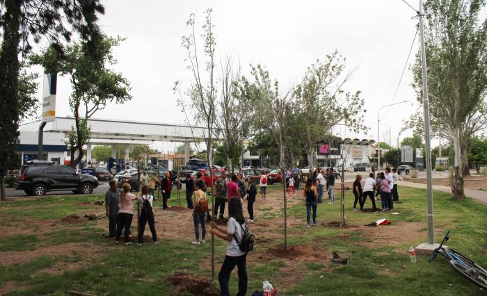 Plantación de árboles - Parque del Acceso Este (10)