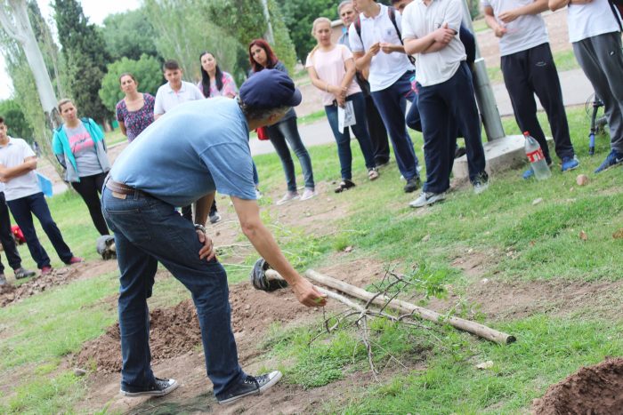 Plantación de árboles - Parque del Acceso Este (2)