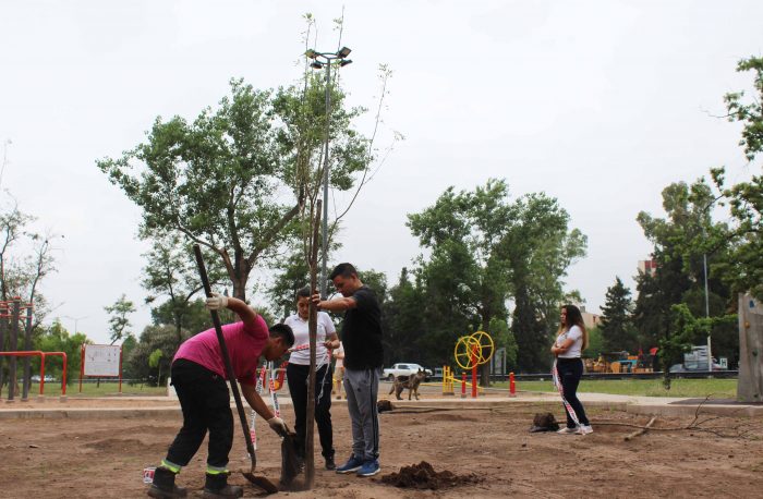 Plantación de árboles - Parque del Acceso Este (21)