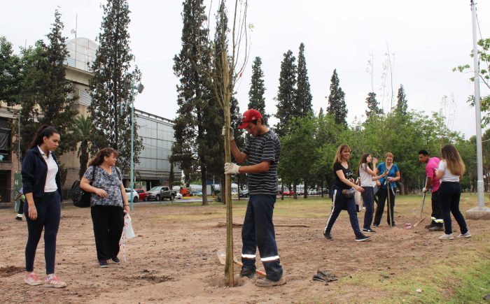 Plantación de árboles - Parque del Acceso Este (22)