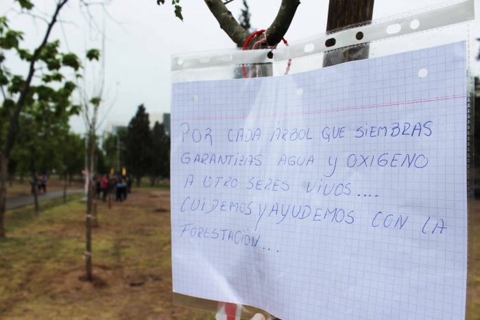 Plantación de árboles - Parque del Acceso Este (23)