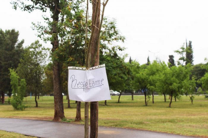 Plantación de árboles - Parque del Acceso Este (24)