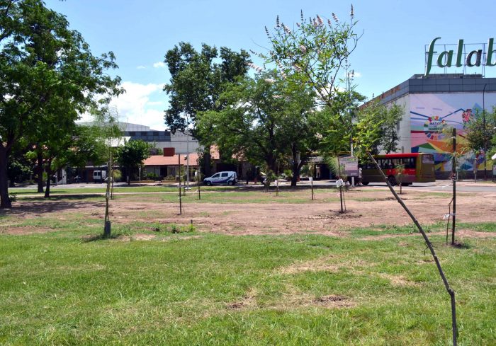 Plantación de árboles - Parque del Acceso Este (27)