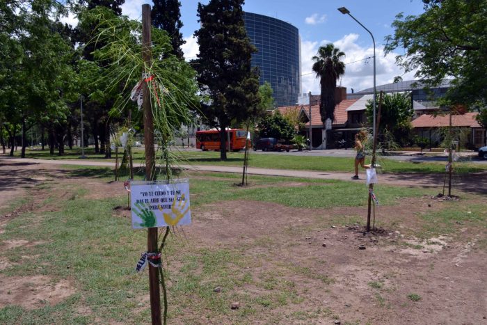 Plantación de árboles - Parque del Acceso Este (29)