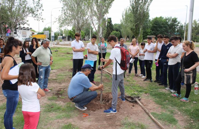 Plantación de árboles - Parque del Acceso Este (3)