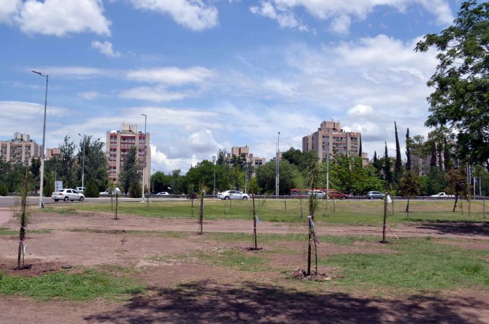 Plantación de árboles - Parque del Acceso Este (32)