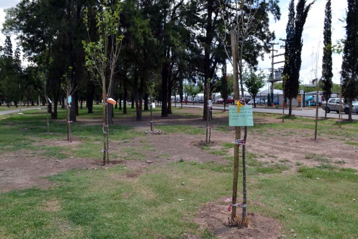 Plantación de árboles - Parque del Acceso Este (36)