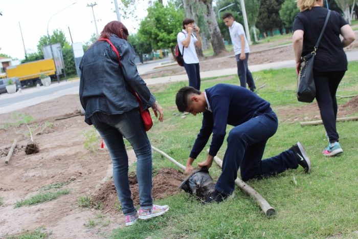 Plantación de árboles - Parque del Acceso Este (4)