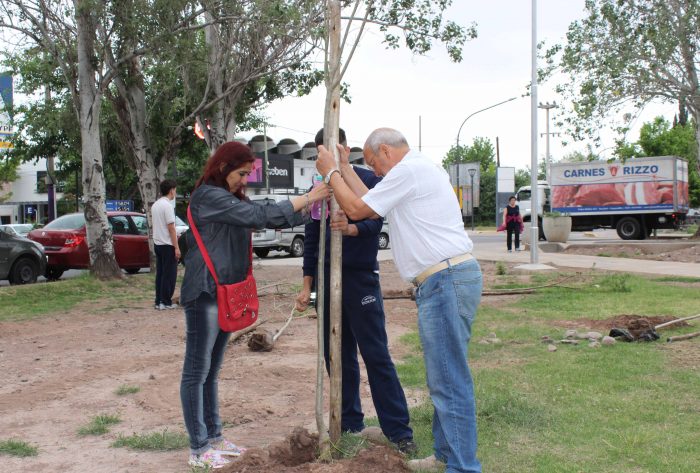 Plantación de árboles - Parque del Acceso Este (7)