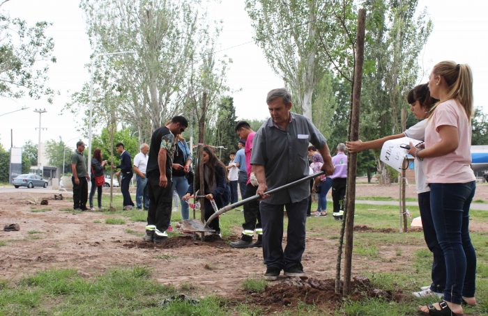 Plantación de árboles - Parque del Acceso Este (9)