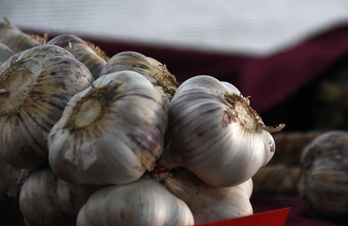 Primer circuito enoturístico y gastronómico (19)