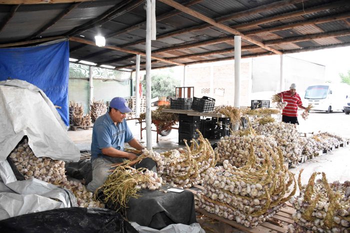 Primer circuito enoturístico y gastronómico (32)