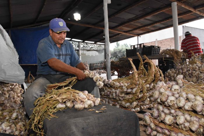 Primer circuito enoturístico y gastronómico (33)