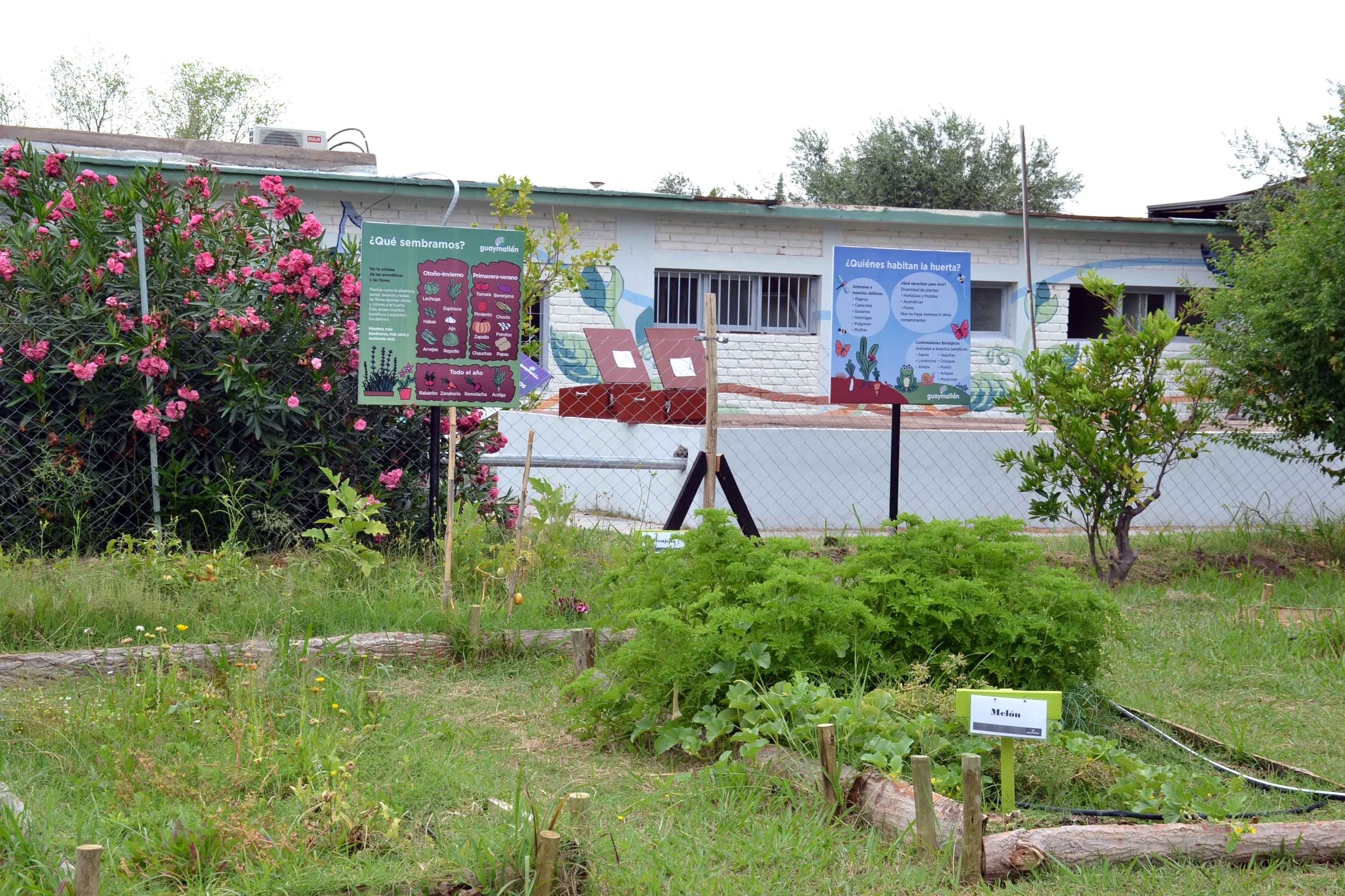 Visita al Centro verde de la escuela de Verano - Rayen Cura (31)