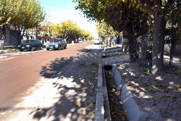 Calle Ecuador - Barrio Gomensoro (7)