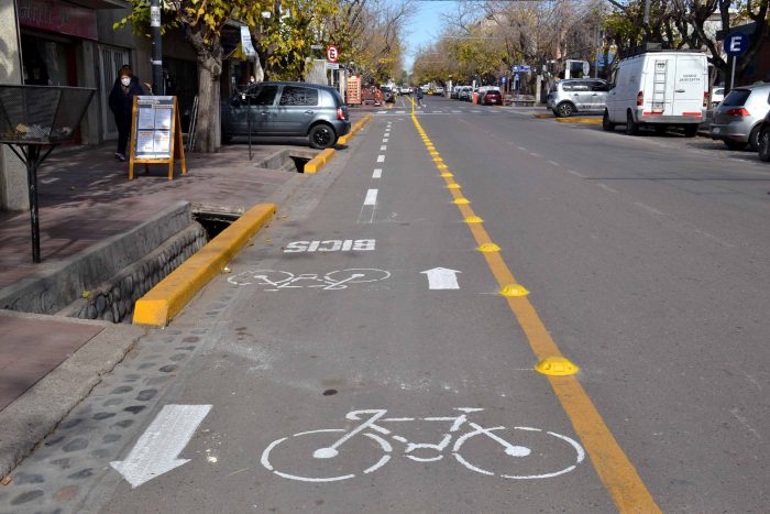 Ciclovía calle Libertad (2)