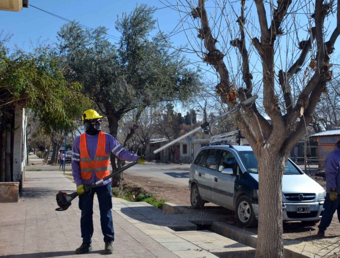 Poda invernal - Guaymallén (1)