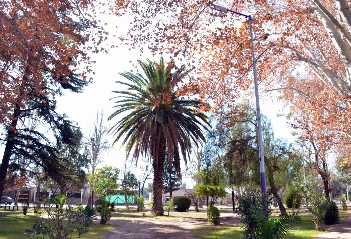 Plaza Escorihuela (2)