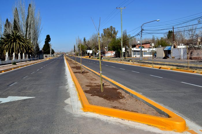 Nuevos árboles - Operativo de plantación (6)