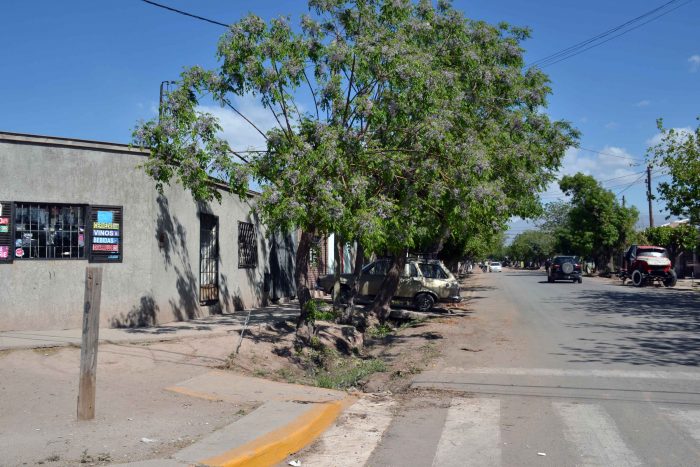 Calle Granaderos de San Martín (4)