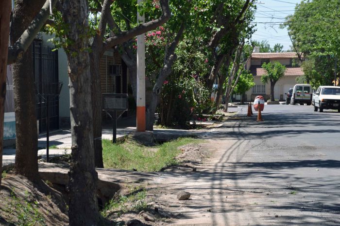 Calle Pedro Vargas (11)