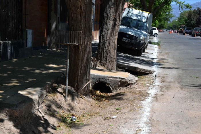 Calle Pedro Vargas (15)