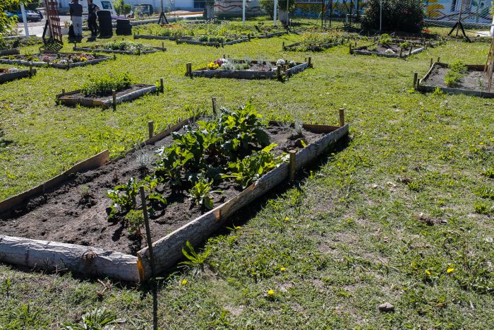 Huerta agroecológica - Centro Verde (5)