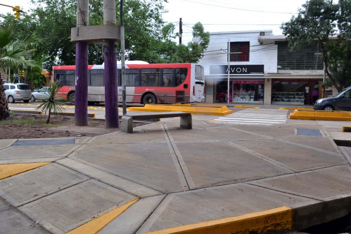 Bandera de Los Andes (12)