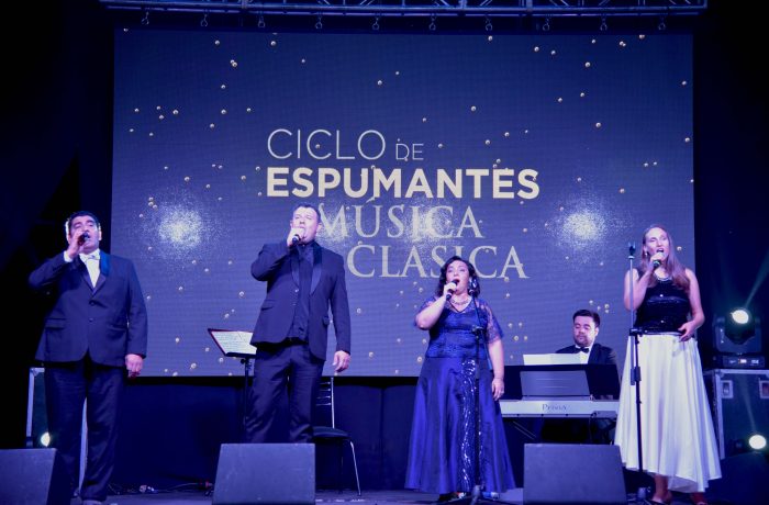 Ciclo de espumantes y música clásica (32)