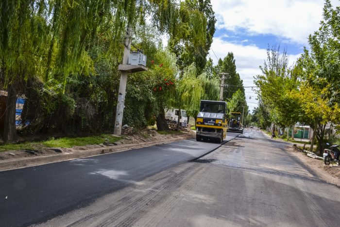 Calle Elpidio González (12)