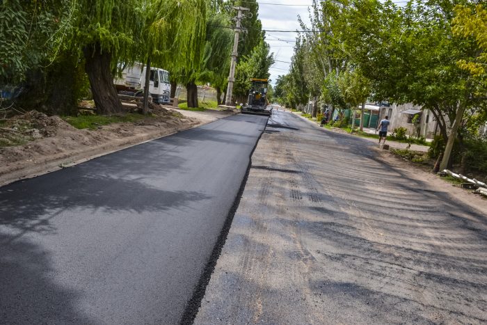 Calle Elpidio González (14)