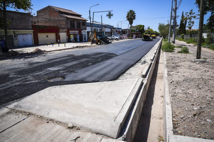 Calle Gomensoro (2)