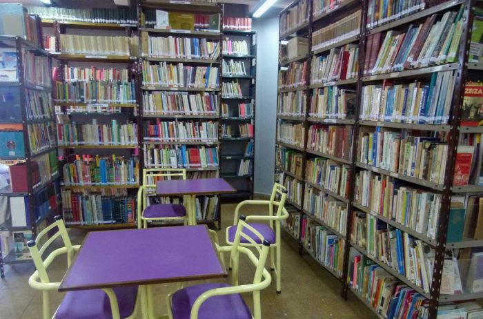 Biblioteca Pública Rodeo de la Cruz (2)