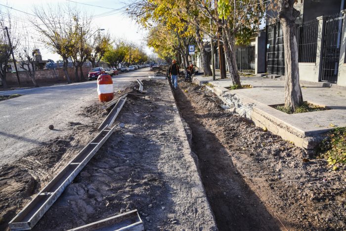 Calle Pedro del Castillo (2)