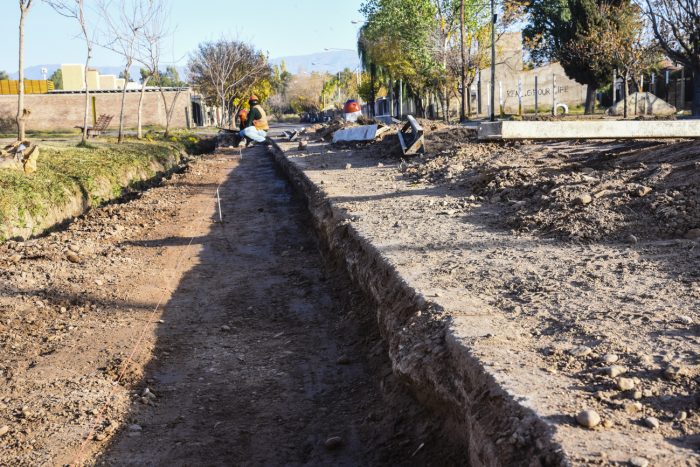 Calle Pedro del Castillo (8)