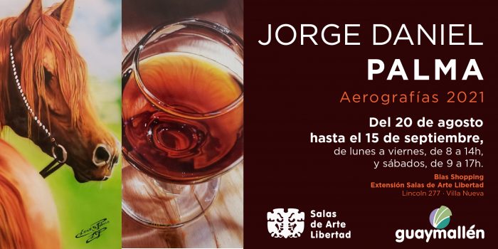 (1) Muestra Aerografías- Jorge Palma (placa)