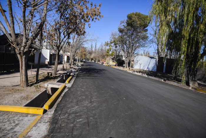 Calle Valle de Huentata- Barrio San Javier (1)