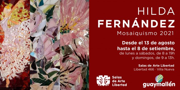 muestra Salas de Arte Libertad- Fernández (placa)