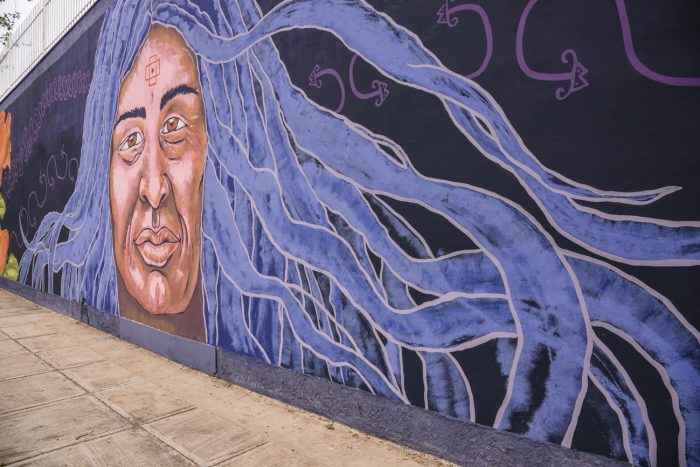 Mural Mujer originaria (8)