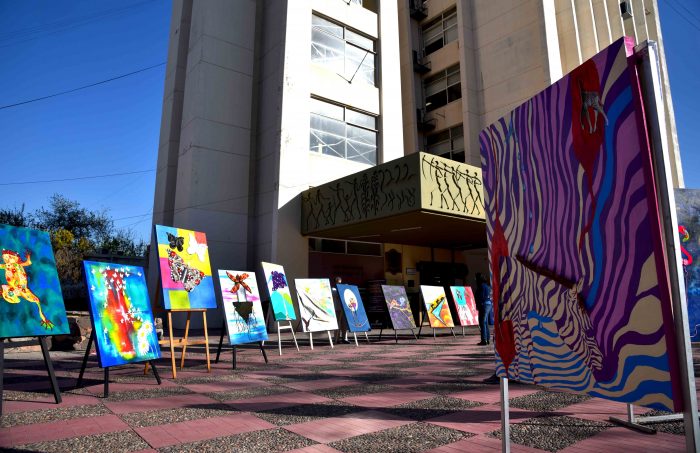 Obras de arte a centros de salud (29)